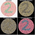 Color Blindness and the Color Blue