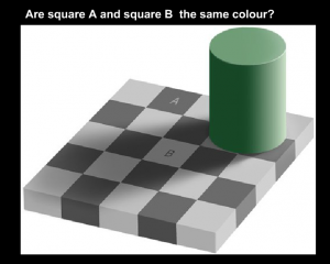 image of color illusion