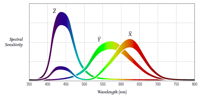 Image of Wavelengths of Cones