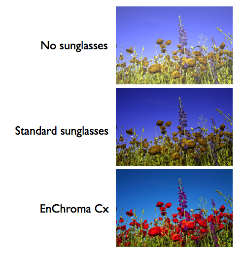 enchroma before and after